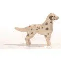 Ostheimer Dalmatian