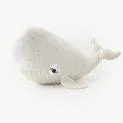 Small Albino Beluga BigStuffed