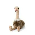 Ostrich sitting (35cm)