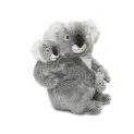 Koala with baby (28cm)