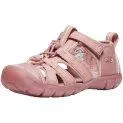 Children's sandals Seacamp II CNX dark rose - Everything for everyday life with your baby | Stadtlandkind