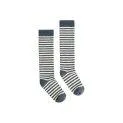 Socks Blue Grey - Cream - The right sock in the highest quality for every season and age with and without ABS | Stadtlandkind