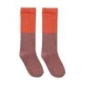 Mauve socks - The right sock in the highest quality for every season and age with and without ABS | Stadtlandkind