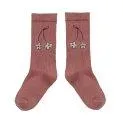 Cherry Flower Mauve socks - The right sock in the highest quality for every season and age with and without ABS | Stadtlandkind