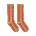 Socken Stripe Tomato - Die richtige Socke in höchster Qualität für jede Saison und jedes Alter mit und ohne ABS | Stadtlandkind