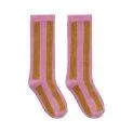 Socks Stripe Purple Pink - The right sock in the highest quality for every season and age with and without ABS | Stadtlandkind