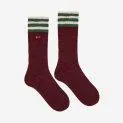 Socks BC Burgundy Red - The right sock in the highest quality for every season and age with and without ABS | Stadtlandkind