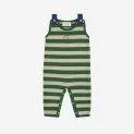 Baby jumpsuit BC Stripes Multicolor - Rompers and overalls in various colors and shapes | Stadtlandkind