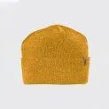 Barry casquette golden yellow - Casquettes et bonnets de différents modèles et matériaux | Stadtlandkind