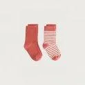 Socks Poppy Red - Cream - The right sock in the highest quality for every season and age with and without ABS | Stadtlandkind