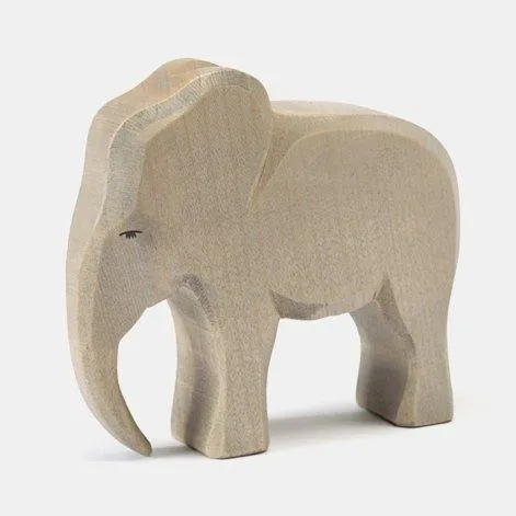 Ostheimer bull elephant - Ostheimer