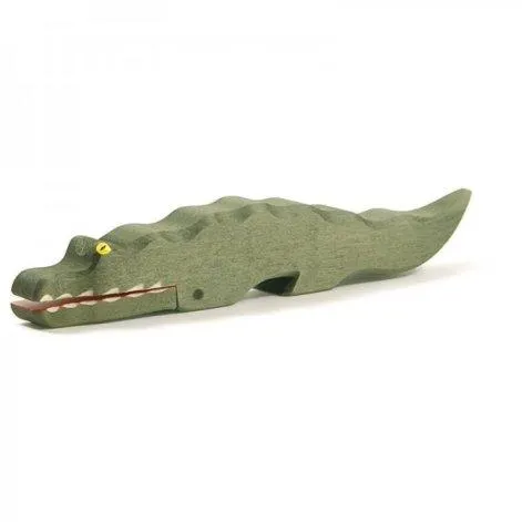 Ostheimer crocodile - Ostheimer