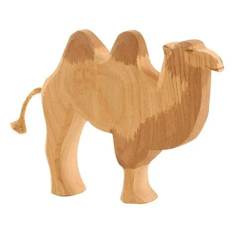 Ostheimer camel - Ostheimer