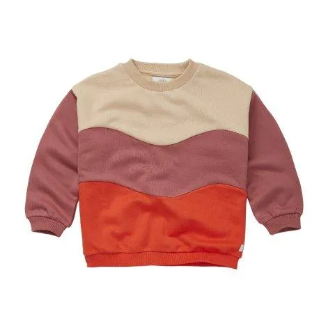 Sweatshirt Colourblock Mauve - Sproet & Sprout