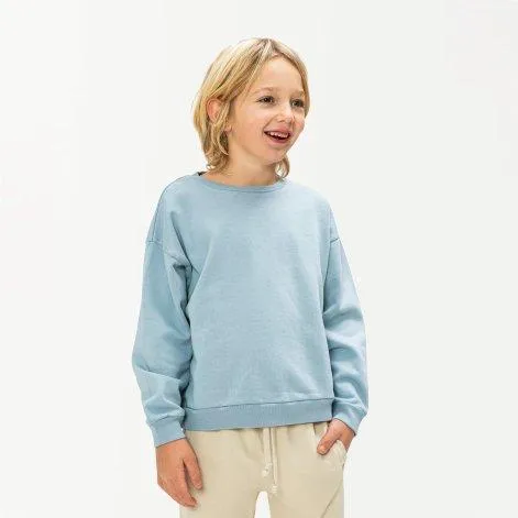 Sweatshirt Crewneck Blue Frog - MATONA