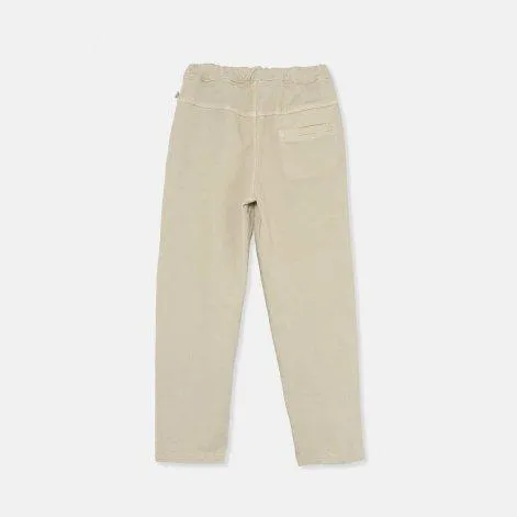 Pantalon Jamesk263 Stone - Cozmo