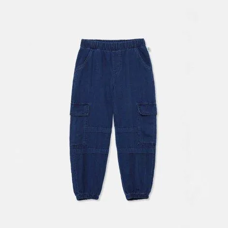 Hose Frank288 Denim - Cozmo