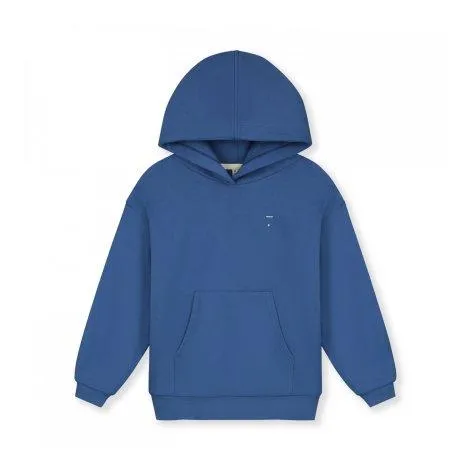 Hoodie Blue Moon - Gray Label